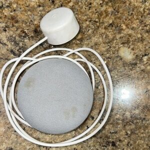 Google nest mini speaker